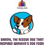 Weruva Classic Dog Food, Variety Pack, Baron's Batch, Wet Dog Food, 14oz Cans (Pack of 12) - Image 9