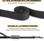 Fida Heavy Duty Dog Leash for Medium Large Dogs, 5 FT, Dual Padded Handles - Image 3