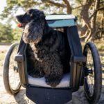 Thule Bexey pet Bike Trailer - Carrier for Small & Large Sized Dogs - Foldable Design - Easy to Connect to Bike - Padded Interior - Converts into Travel Crate - Durable Materials - Image 6