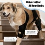 Dog Knee Brace for ACL CCL Support, Hind Leg Mobility Support - Image 6