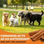 BRUTUS & BARNABY Sweet Potato Sticks, Cinnamon Pumpkin Dog Treats, 14 oz - Image 4