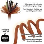 Sunraymascota 5FT Dog Leash Puppy Cat Rope Lead for Small Medium Large Dogs - Image 3