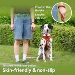 Sunraymascota 5FT Dog Leash Puppy Cat Rope Lead for Small Medium Large Dogs - Image 5