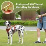 Sunraymascota 5FT Dog Leash Puppy Cat Rope Lead for Small Medium Large Dogs - Image 6