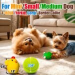 HOLYSTEED Squeaky Dog Toys for Small Dogs,Medium Breed,1.9" Latex Ball Oval - Image 3