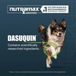 Nutramax Dasuquin MSM Joint Supplement, Large Dogs Chewable Tablets, 150ct - Image 3