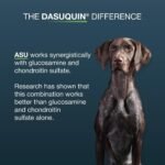 Nutramax Dasuquin MSM Joint Supplement, Large Dogs Chewable Tablets, 150ct - Image 6