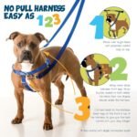 2 Hounds Design Freedom No Pull Dog Harness and Leash, 1" LG, Black - Image 3