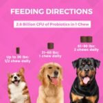 Progility Pre & Probiotics Supplement for Dogs, Digestive Support - Image 3