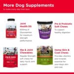 Nutri-Vet Hip & Joint Dog Biscuits, Dog Treats, 300mg Glucosamine, 6 lb Bag - Image 6