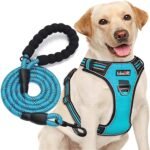 tobeDRI No Pull Dog Harness Adjustable Reflective Oxford Easy Control Medium Large Dog Harness with A Free Heavy Duty 5ft Dog Leash, Turquoise, L