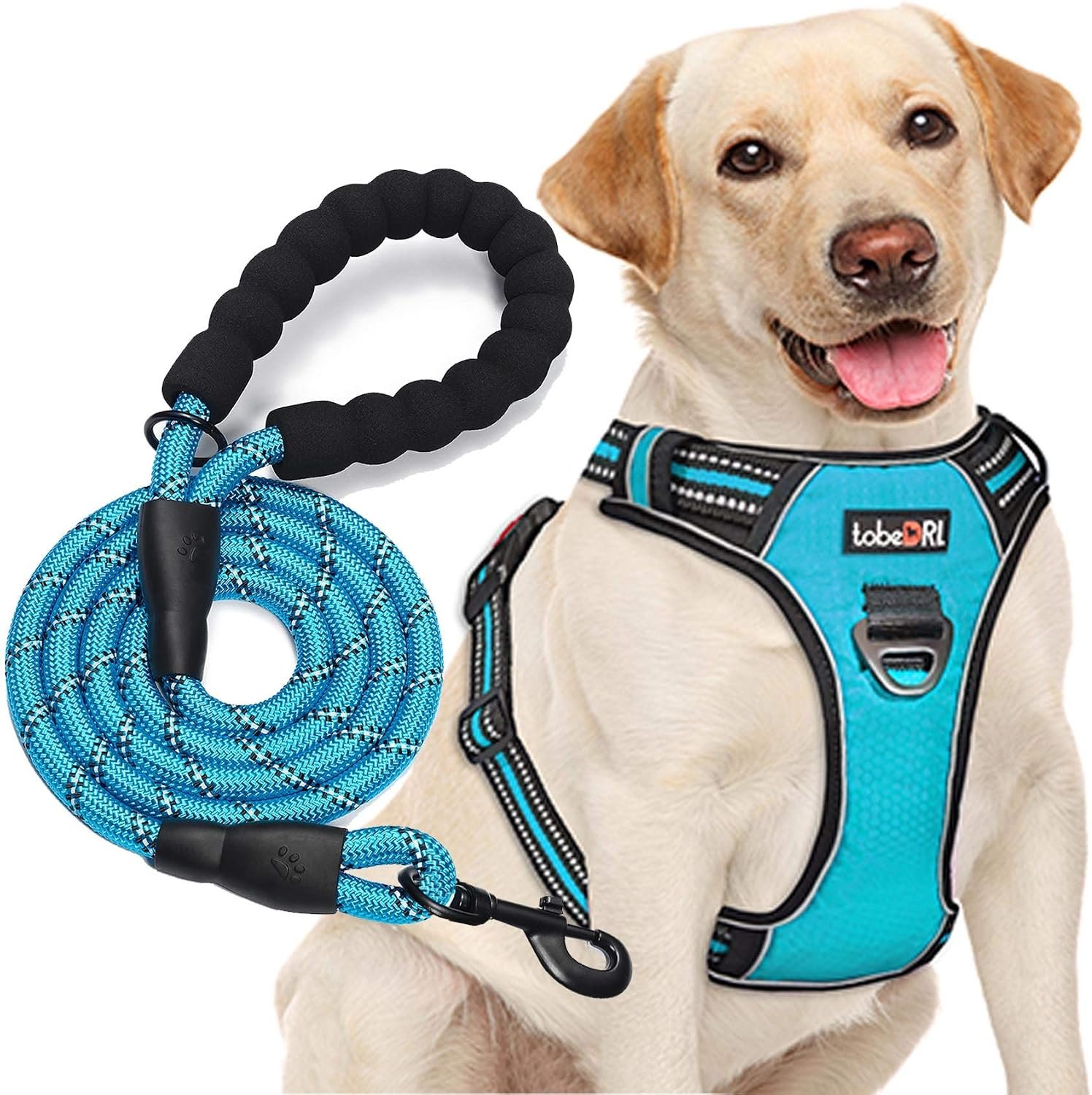 tobeDRI No Pull Dog Harness Adjustable Reflective Oxford Easy Control Medium Large Dog Harness with A Free Heavy Duty 5ft Dog Leash, Turquoise, L tobeDRI No Pull Dog Harness Adjustable Reflective Oxford Easy Control Medium Large Dog Harness with A Free Heavy Duty 5ft Dog Leash, Turquoise, L