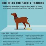 COOYOO Dog Bells to Go Outside, Premium Quality Potty Training Dog Door Bell, Yarn Handwoven Dog Bell, Adjustable Housetraining Hanging Bell-6 Extra Large Loud 1.5 DoorBells - Image 6