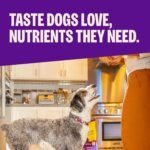 Wellness Complete Health Small Breed Adult Dry Dog Food, Wholesome Grain Kibble, Natural, Turkey and Oatmeal Recipe, 4 lb Bag - Image 3