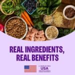 Wellness Complete Health Small Breed Adult Dry Dog Food, Wholesome Grain Kibble, Natural, Turkey and Oatmeal Recipe, 4 lb Bag - Image 4