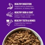 Wellness Complete Health Small Breed Adult Dry Dog Food, Wholesome Grain Kibble, Natural, Turkey and Oatmeal Recipe, 4 lb Bag - Image 5