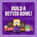 Wellness Complete Health Small Breed Adult Dry Dog Food, Wholesome Grain Kibble, Natural, Turkey and Oatmeal Recipe, 4 lb Bag - Image 8