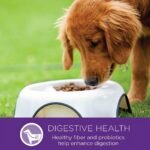 Wellness Complete Health Small Breed Adult Dry Dog Food, Wholesome Grain Kibble, Natural, Turkey and Oatmeal Recipe, 4 lb Bag - Image 9