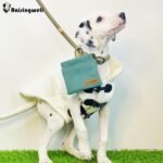 Raisingwell Dog Treat Pouch, Green Pocket Sized Pet Training Pouch, Cotton Fabric, Hand Free Dog Walking Bag with Carabiner, Self-Closing Pet Feed Snack Reward, for Puppy Travel or Outdoor Use - Image 5