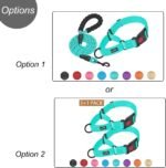 Haapaw Escape-Proof Martingale Dog Collar, Turquoise, L - Image 2