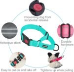 Haapaw Escape-Proof Martingale Dog Collar, Turquoise, L - Image 3