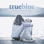 TrueBlue Dog Eye Wipes, Pre-Moistened Textured Pads, Cucumber & Chamomile - Image 7