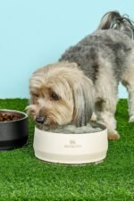STANLEY Pet Bowl with Lid, 24 oz (3 Cups), Rose Quartz - Image 4