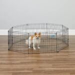 MidWest 18-Inch Exercise Pen, No Door, 16 Sq Ft Play Area - Image 3