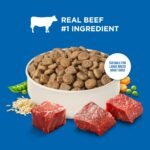 Nutrish Large Breed Dry Dog Food, Beef Recipe, 30 lb. Bag (Rachael Ray) - Image 4