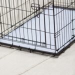 Precision Pet Products Two Door Provalue Wire Dog Crate, 42in - Image 2