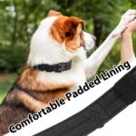 Tactical Dog Collar Heavy Duty Metal Buckle Collars for Medium Large Dogs - Image 5