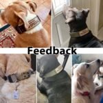 Tactical Dog Collar Heavy Duty Metal Buckle Collars for Medium Large Dogs - Image 6