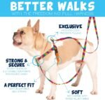 2 Hounds Design Freedom No Pull Dog Harness and Leash, 1" LG, Black - Image 2