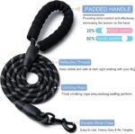 2 Pack Dog Leash, Heavy Duty Nylon Rope Pet Leashes (6FT-1/2,Black/Black) - Image 2