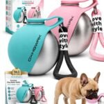 2 Pack Portable Dog Water Bottle with Bowl, 2 in 1 10oz Stainless Steel Travel Water Bottle for Dogs, Foldable Silicone Bowl, Leak-Proof Water Dispenser for Walking Hiking