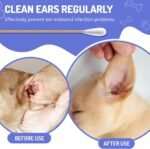 200PCS Large Cotton Swabs in Storage Box, 6 Inch Dog Ear Swabs - Image 2