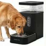 2.2 Gallon Automatic Dog Water Dispenser with Stainless Steel Bowl