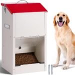 25 Lbs Automatic Dog Feeder for Large Dogs, Dog Food Dispenser