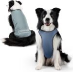 2Pack Dog Cooling Shirts with Sun Protection,Misty Glade+Water Drop,XL