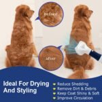 3-in-1 Pet Hair Dryer & Slicker Brush for Dogs & Cats – Portable, Professional, Adjustable Temp, Overheat Protection Dog Hair Dryer (blue) - Image 2