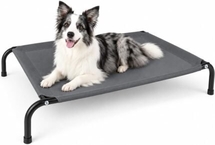 50″ Lx32 Wx8 H Cooling Elevated Dog Bed for Large Dogs with Non-Slip Floor Protectors & Breathable Mesh, Raised Indoor & Outdoor Dog Cot Pet Hammock, Grey