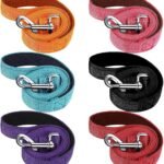 6 Pack Dog Leashes for Large Dogs, Reflective Nylon, Padded Handle, 5 ft