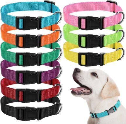 9 Pcs Adjustable Dog Collars Set for Litter, Medium, Bright Colors