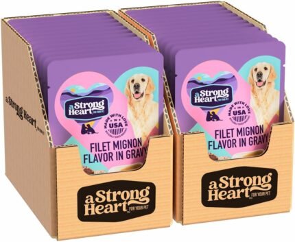 A Strong Heart Filet Mignon Flavor Dog Food Pouches in Gravy, 24-Pk