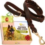 ADITYNA Leather Dog Leash with Traffic Handle, 6ft, Medium & Large Dogs