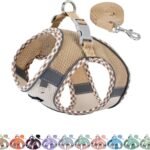 AIITLE Breathable Dog Harness Small Sized and Leash Set, Brown-Beige XXXS