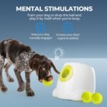 ALL FOR PAWS Automatic Dog Ball Launcher Maxi, Interactive Ball Thrower Dog Toys Includes 6pcs Tennis Balls for Large Dogs - Image 2