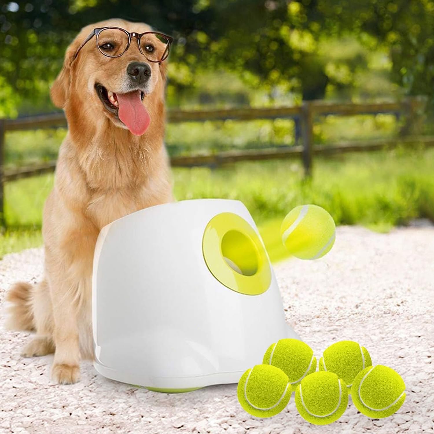 ALL FOR PAWS Automatic Dog Ball Launcher for Medium to Large Dogs, Interactive Tennis Ball Thrower, Rechargeable Dog Toy Mental Stimulation Training Game for Energetic Dogs ALL FOR PAWS Automatic Dog Ball Launcher for Medium to Large Dogs, Interactive Tennis Ball Thrower, Rechargeable Dog Toy Mental Stimulation Training Game for Energetic Dogs