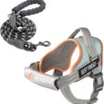AUROTH Dog Harness and Leash Set for Medium Sized Dog, No Pull Dog Vest