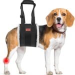 Adjustable Dog Sling for Medium Dogs Soft Post-ACL Surgery Mobility Aid